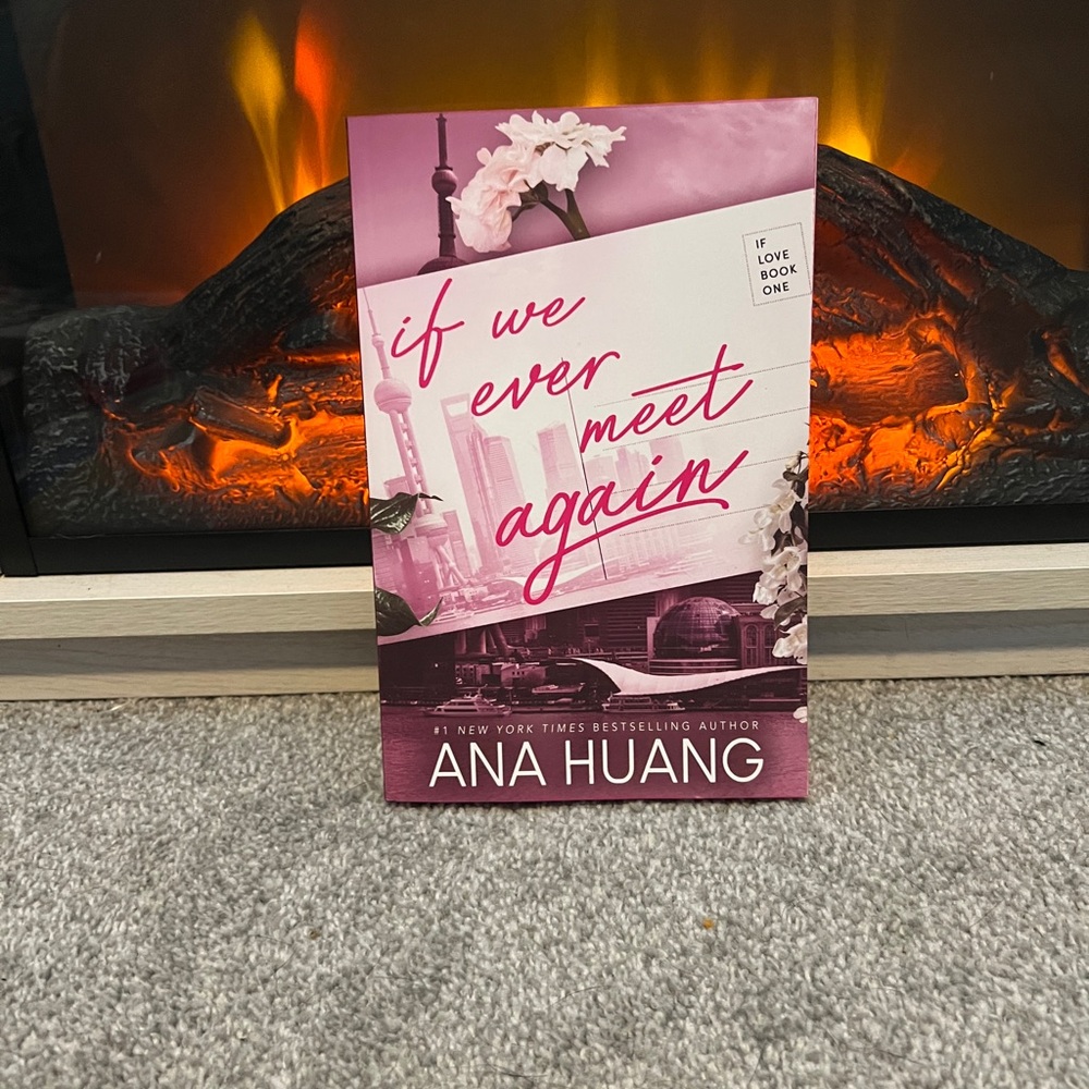 Pink Book - If We Ever Meet Again